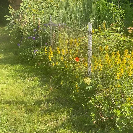 Garden House - Hohensee Erdgeschoss Apartment