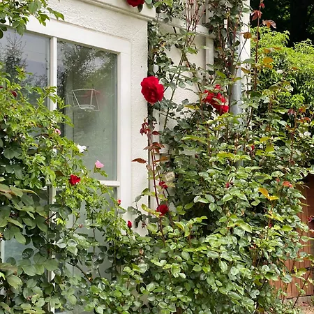 Garden House - Hohensee Erdgeschoss * Zemitz