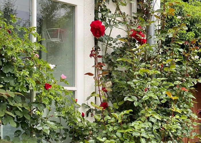 Das Gardenhouse - Hohensee * Zemitz
